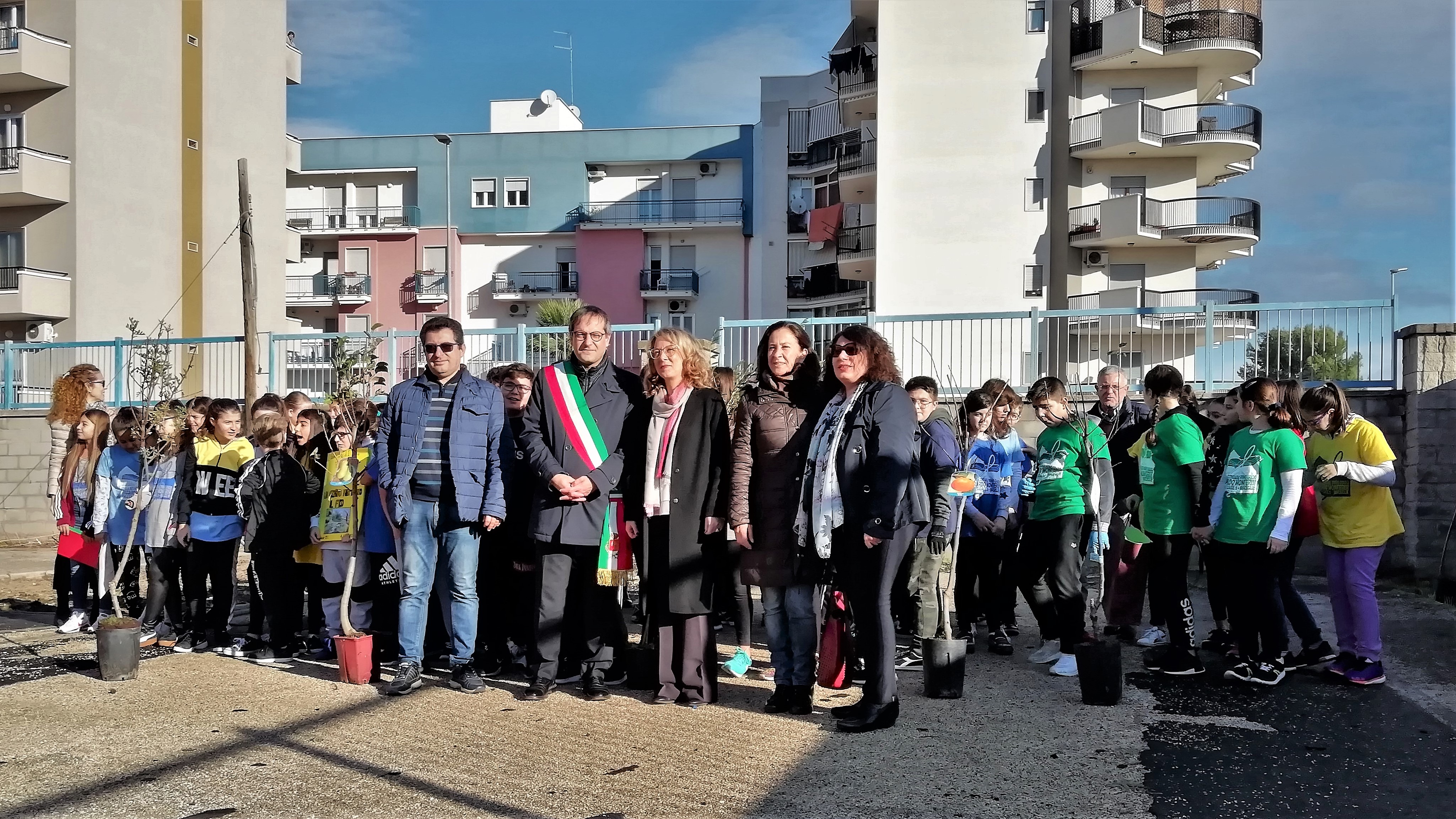 foto festa dell'albero