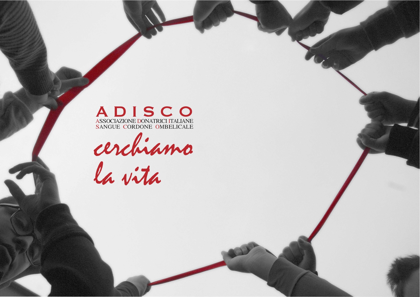 ADISCO 1